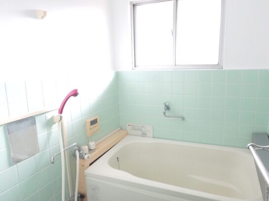 {{brizy_dc_image_alt entityId=